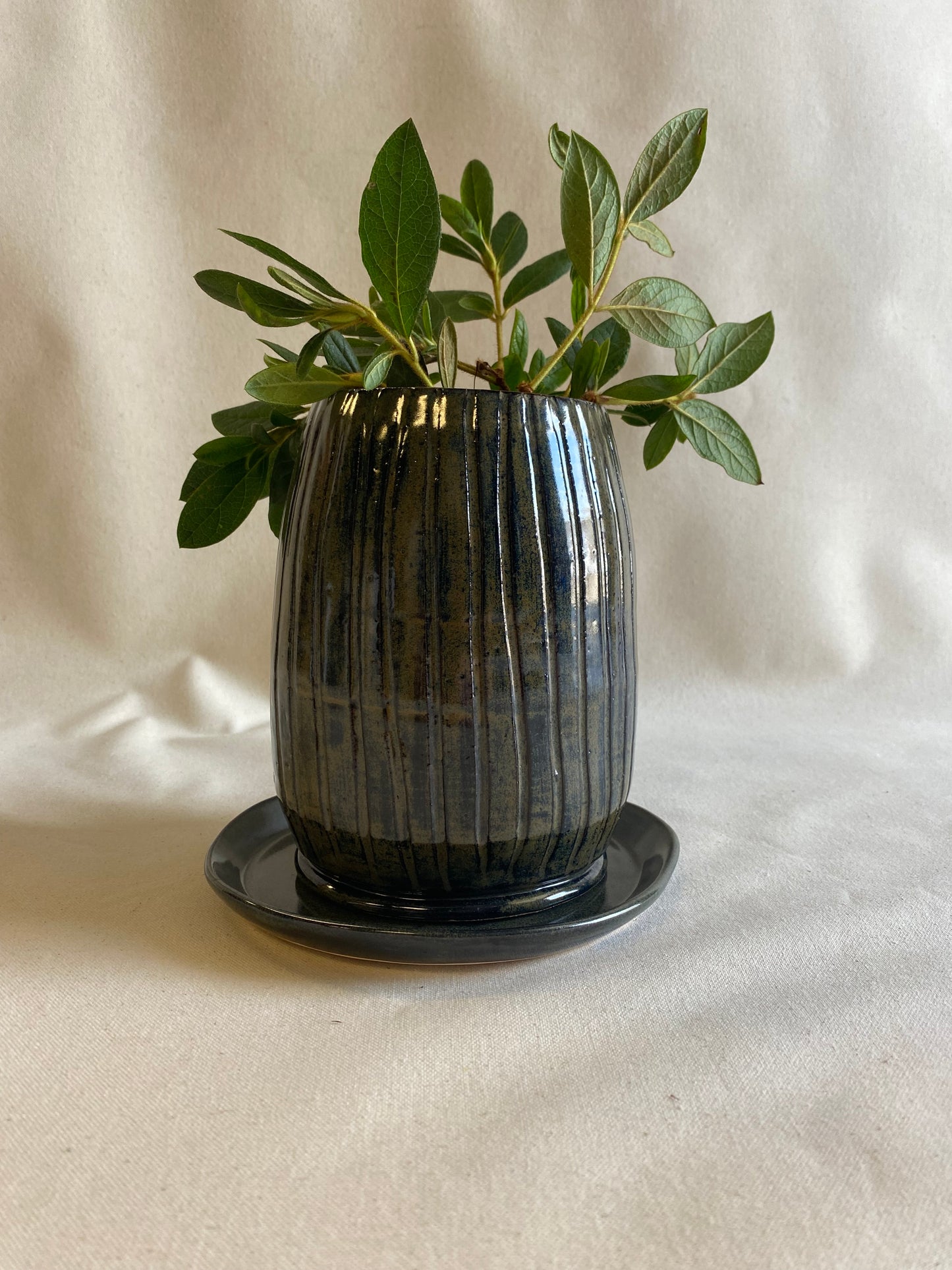 Muddy Waters Planter
