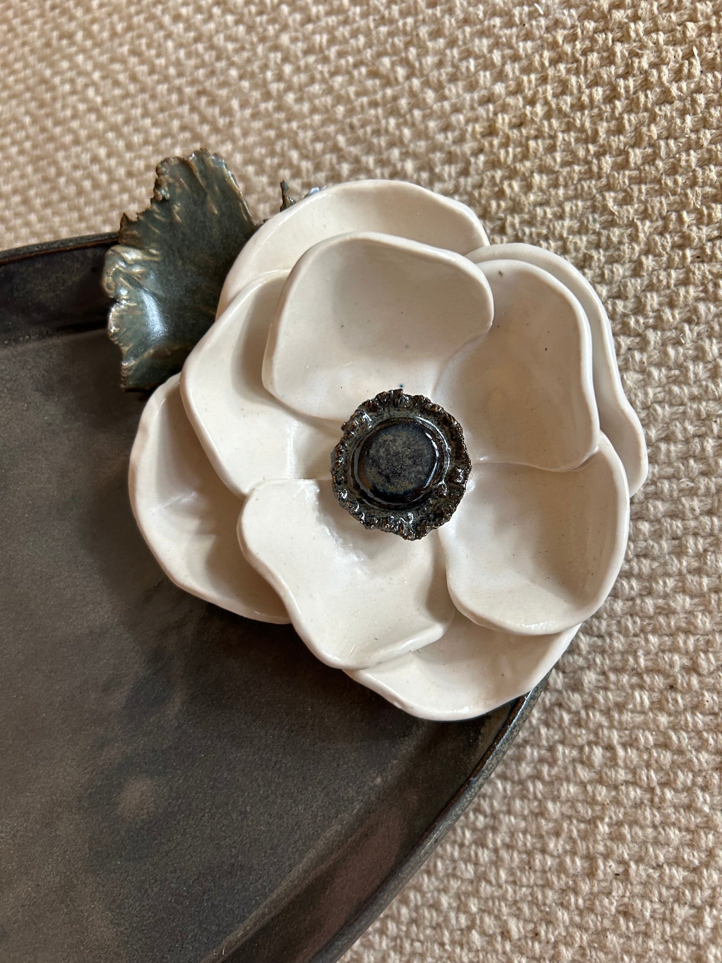 Anemone Platter (n. 06)