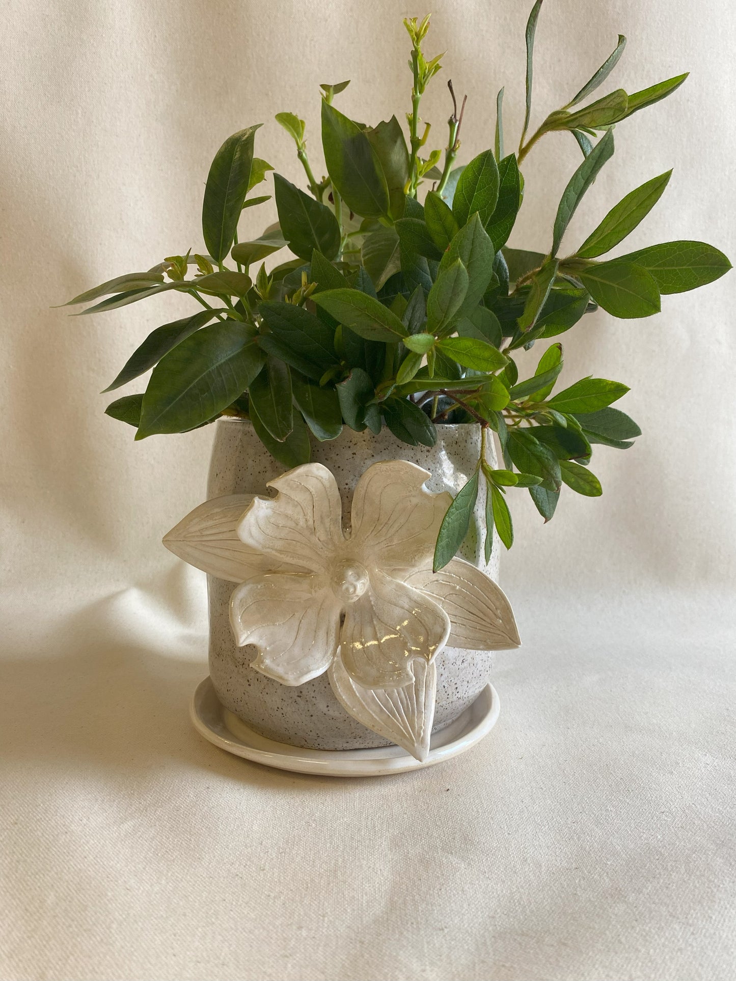Dogwood Planter