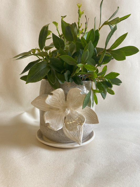 Dogwood Planter