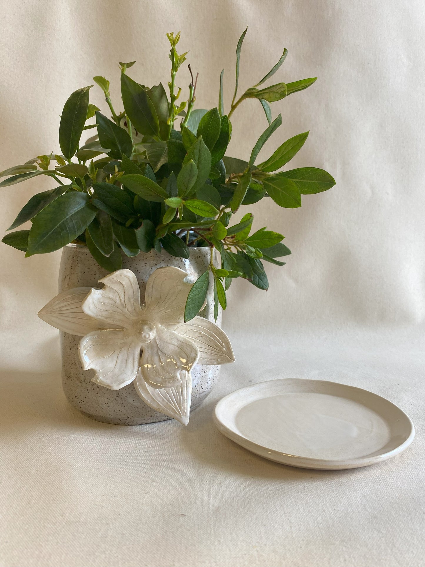 Dogwood Planter