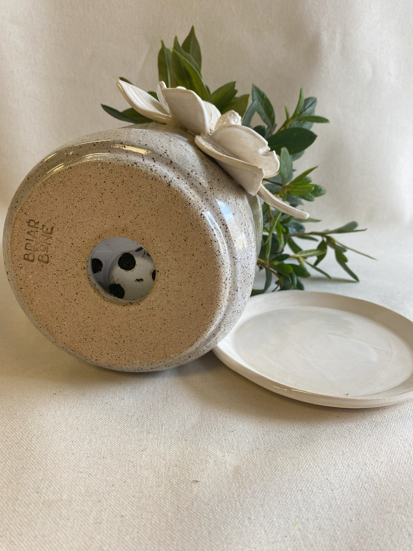 Dogwood Planter