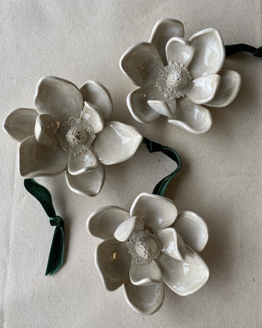 Petite Magnolia