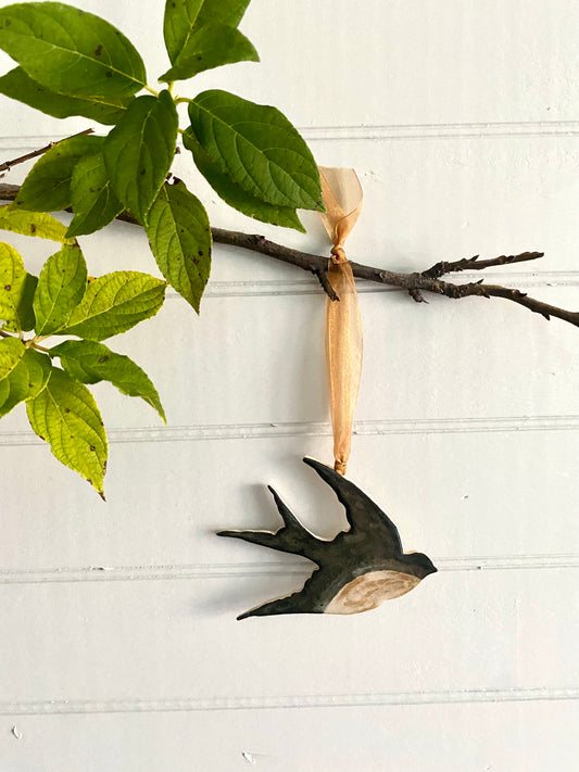 Swallow-Tailed Kite (n. 03)